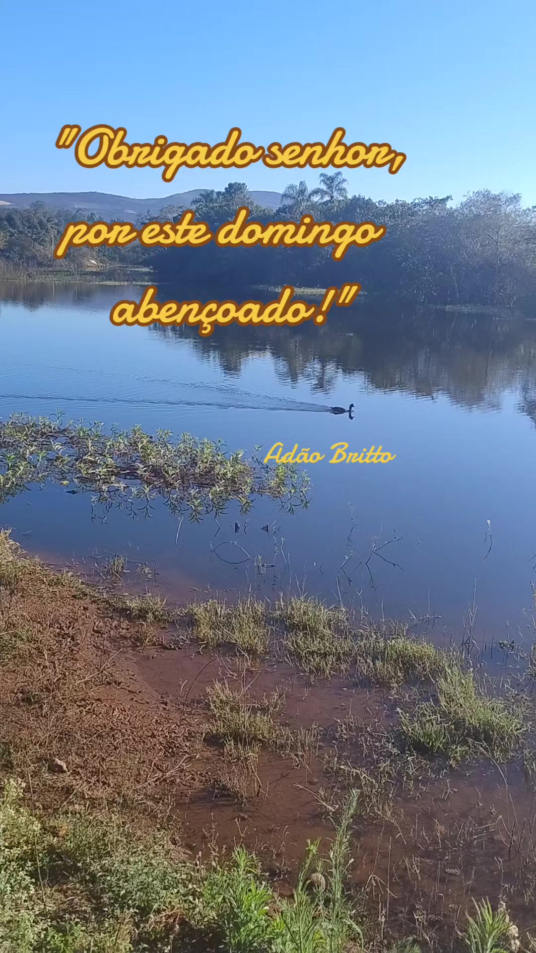 @Ad&atilde;o Britto
