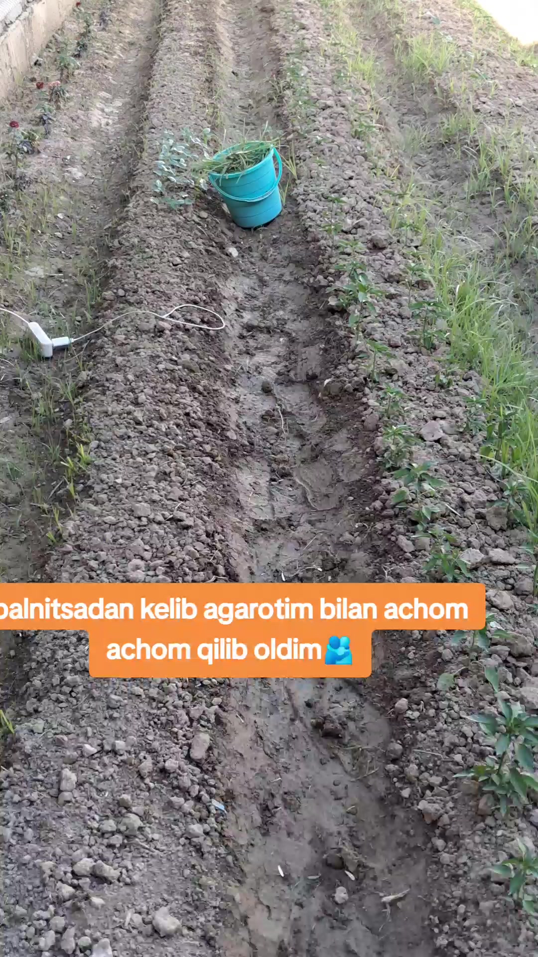 @Kulochok Oyi