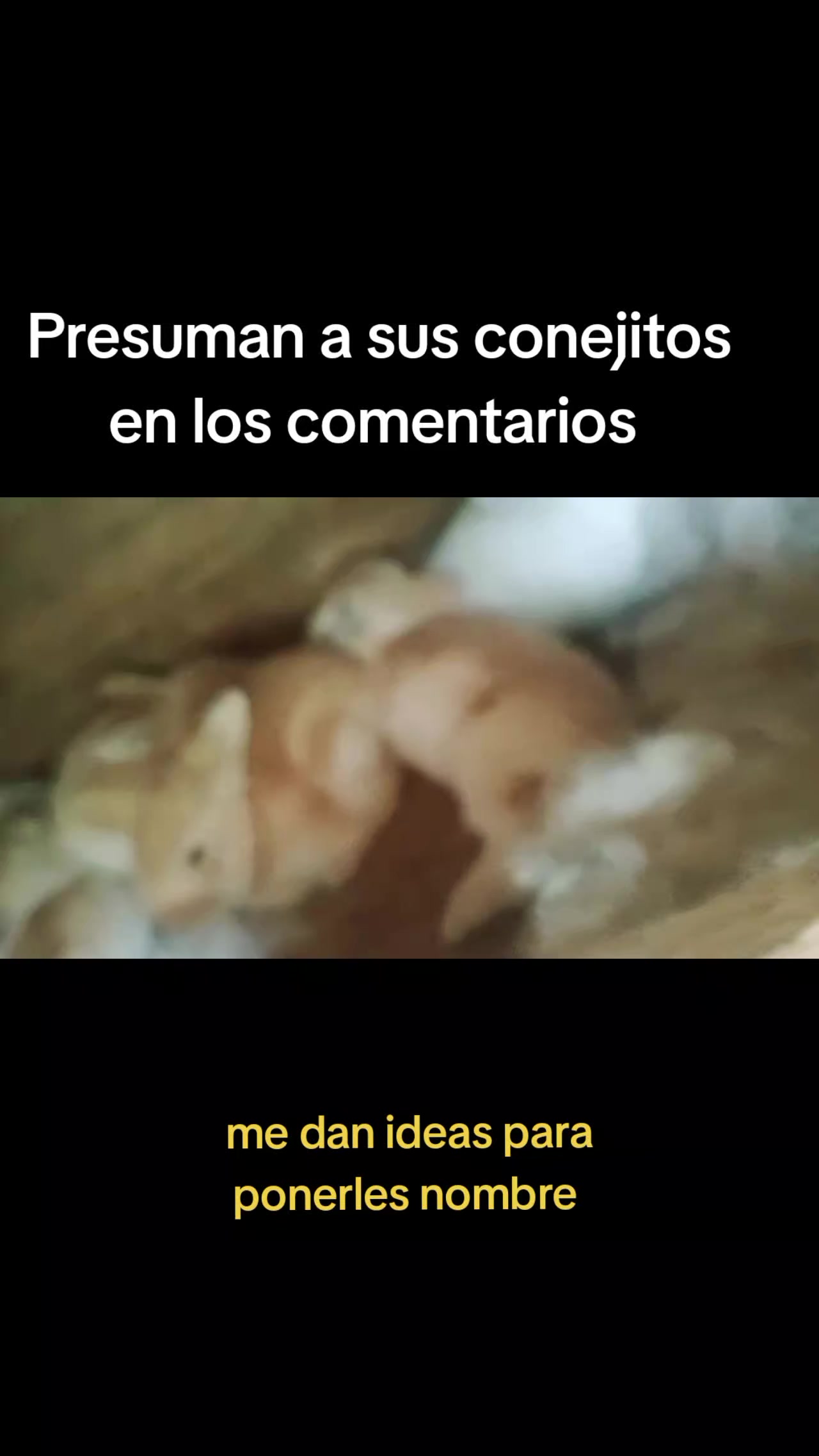 @Mar