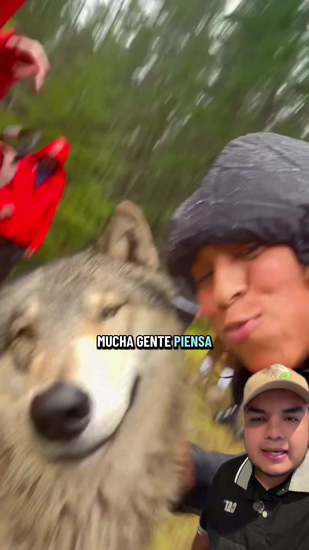 @Jair Herrera 🐆