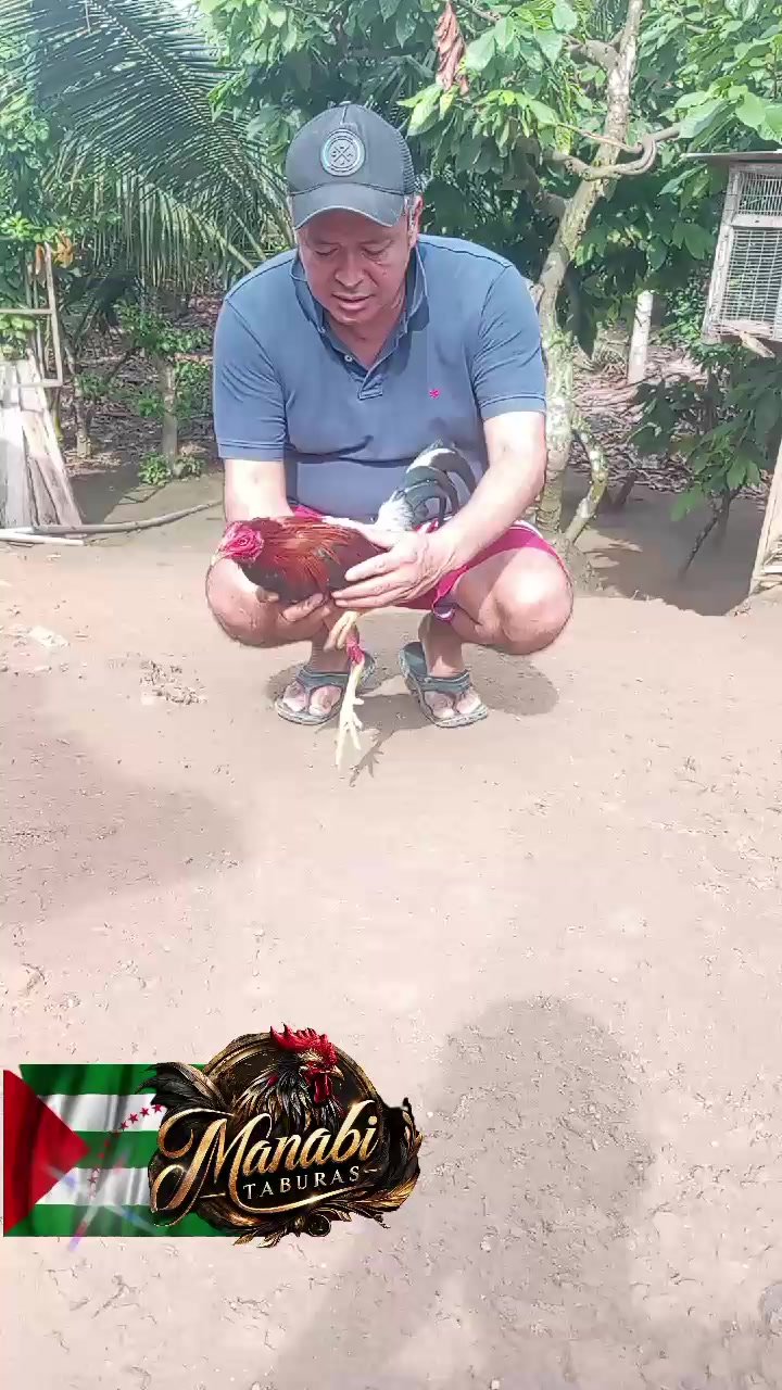 @MANABI TABURAS