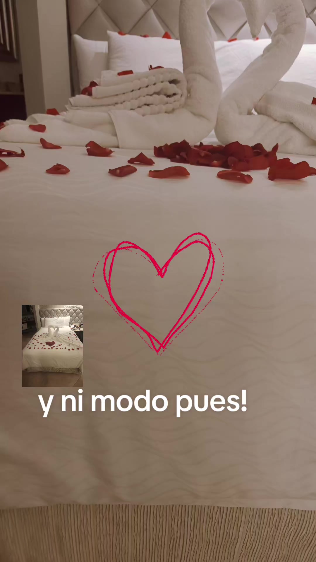 @Myrna Alieth