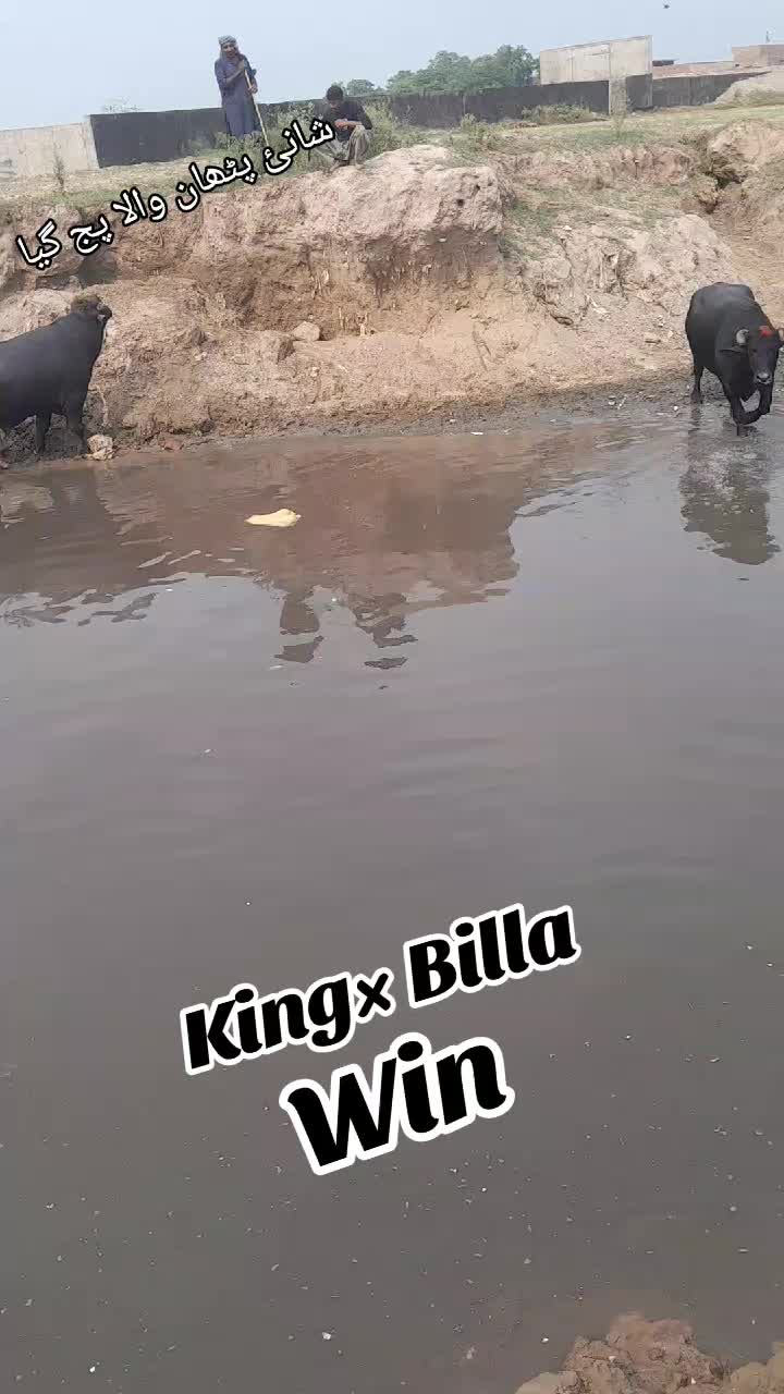 @Honey singh('gujjar')