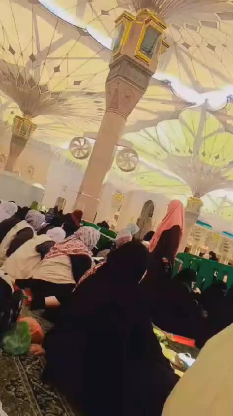 @صبیحہ گل