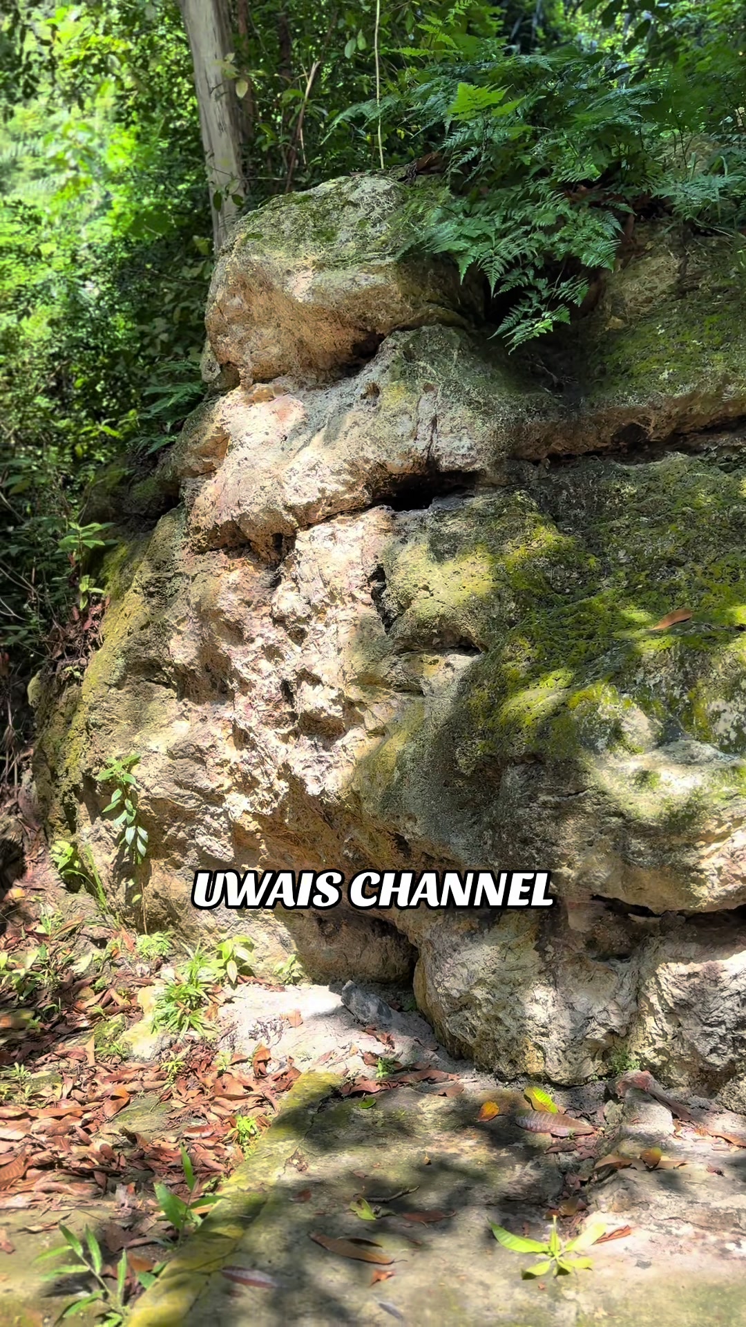 @Uwais Channel