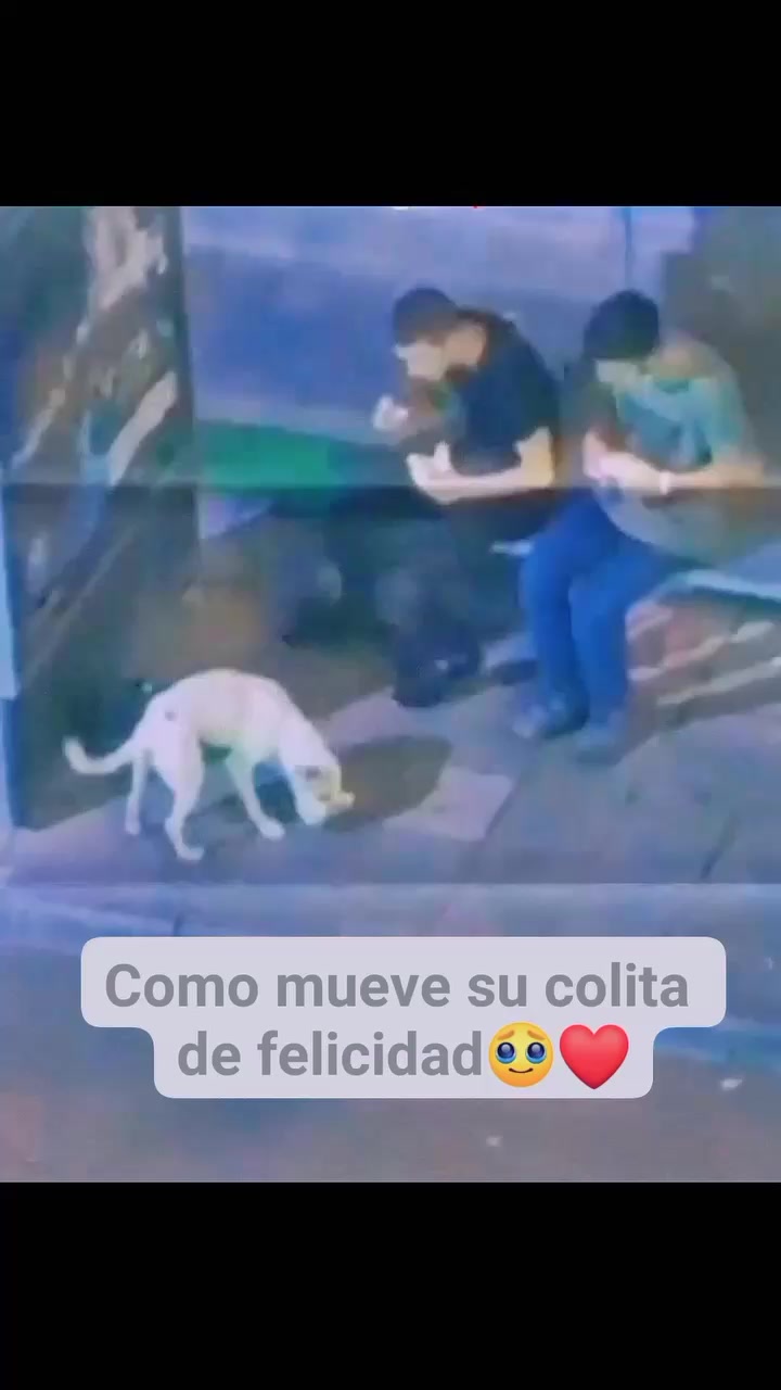 @varcan❤️