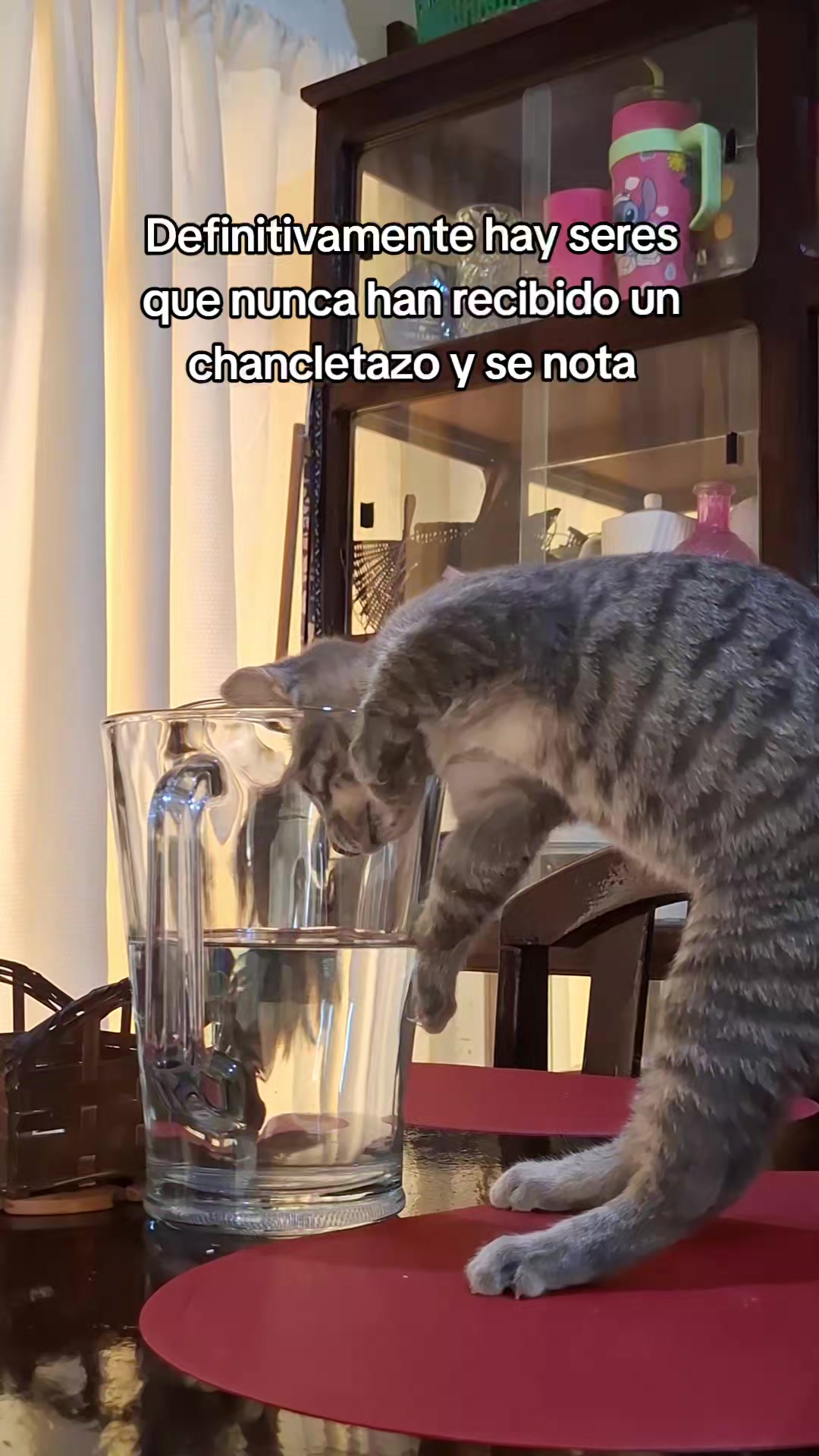 @Andreita Rojas