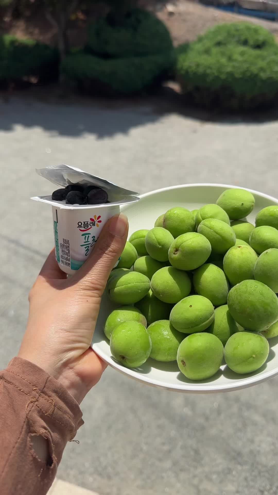 @ក្រមុំឥសាន្ត||🦋(កូវ សោភណ្ឌ័)
