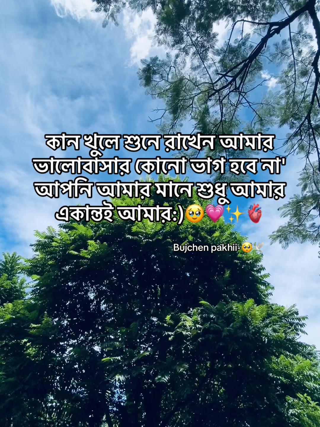 @ChaccHu 🌙🩵