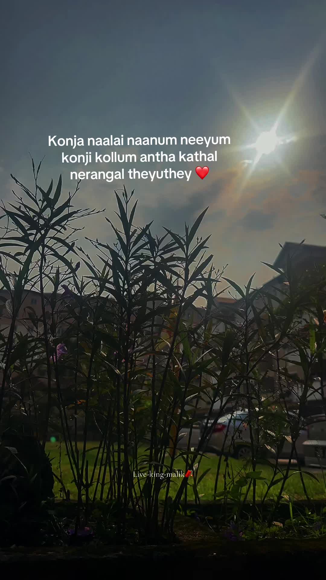 @❤️🔥_live_king_malik_ 🥷🏻