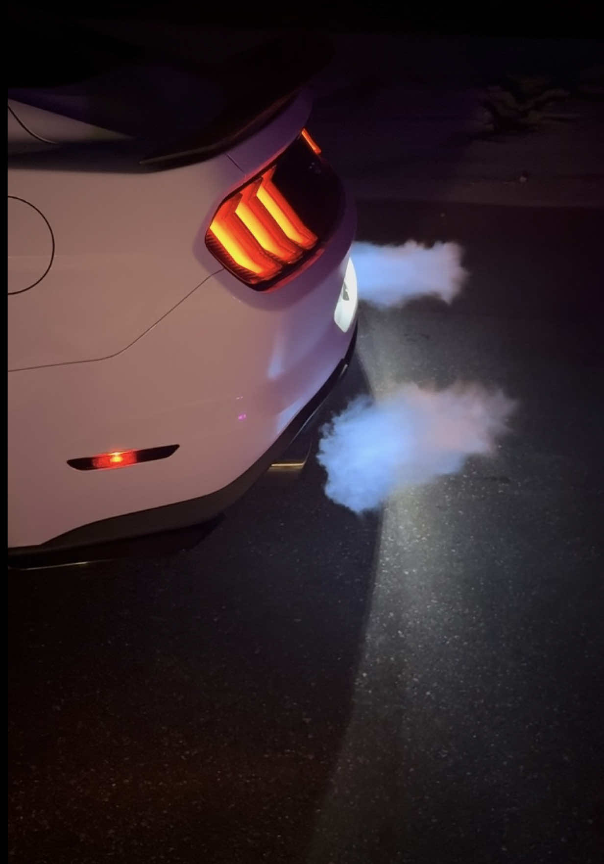 @brieeezyyy_stang