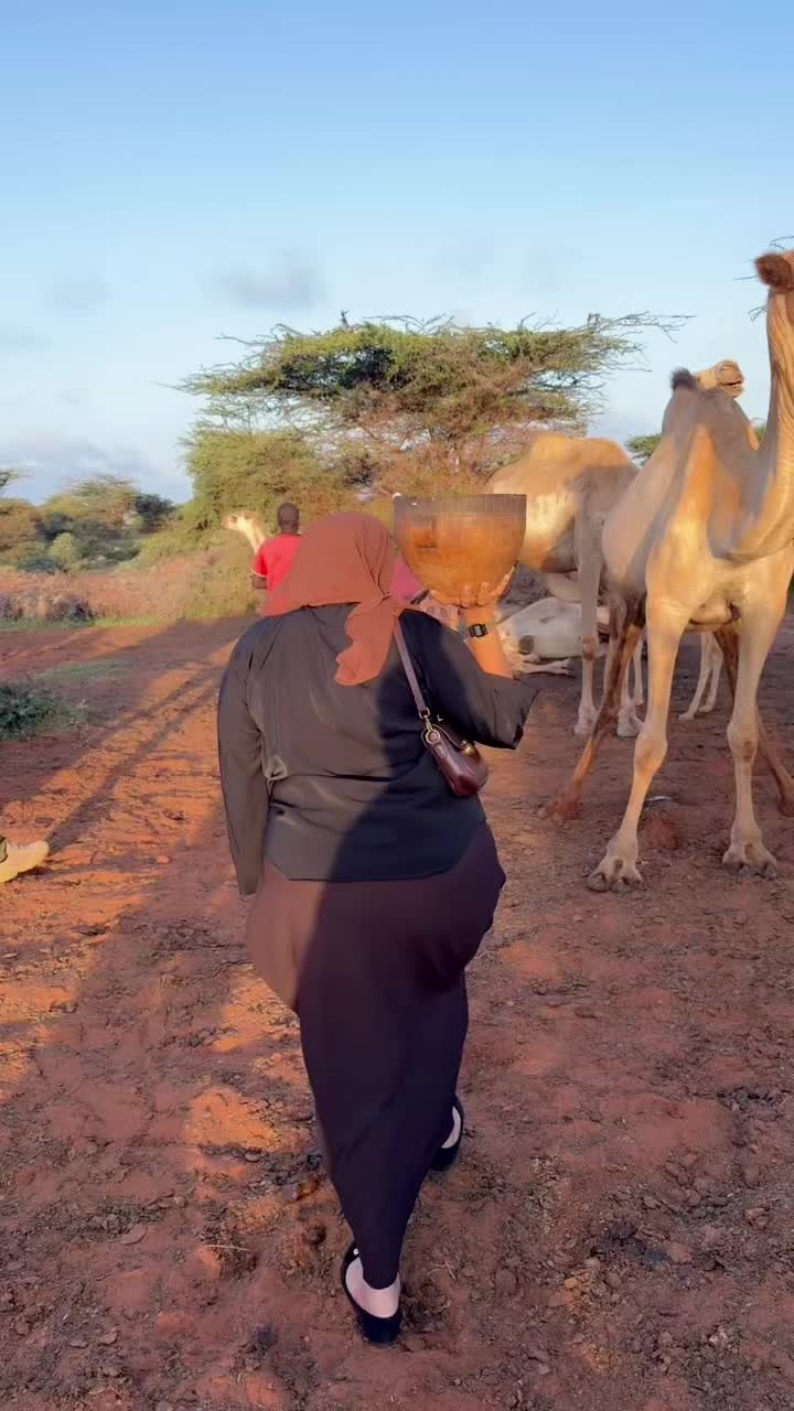 @Shinbirta jahuurta 🥰🇬🇲