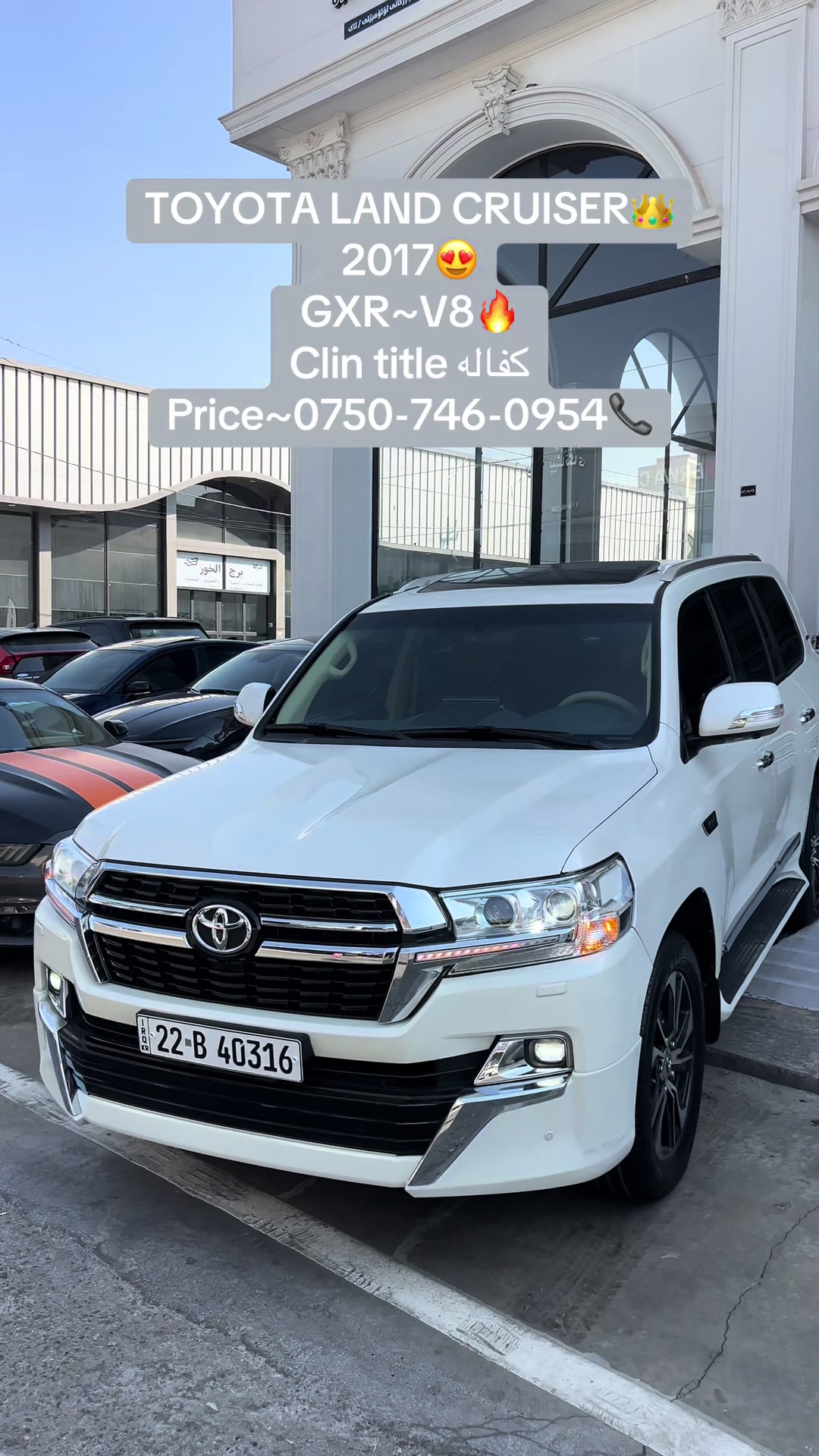 @Dana Cars🏎️
