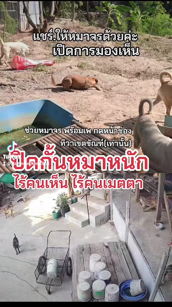 @๐๘๖๑๔o๘๓๙๖ทิวาเขตขัณฑ์