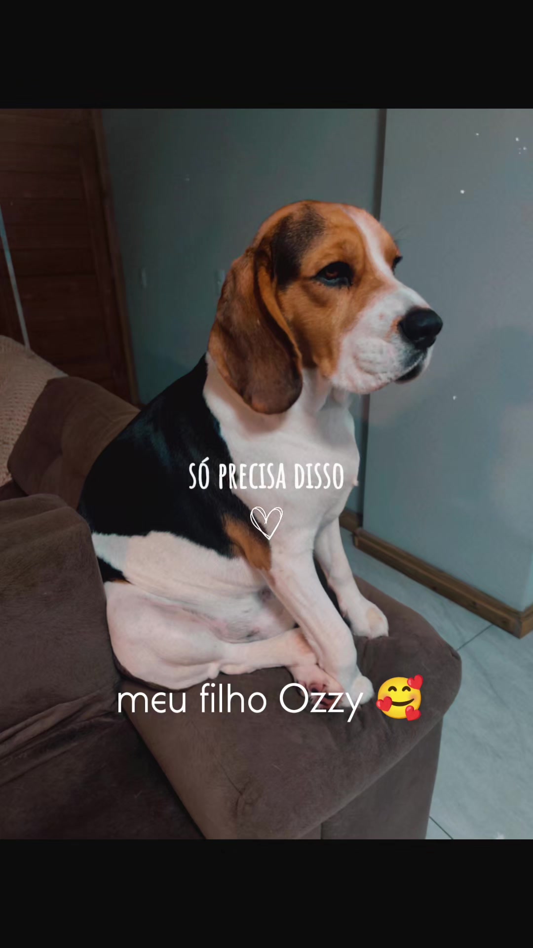 @Viscardí 🤘🏻🎼♎