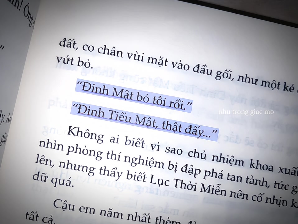 @Nhất Diệp Tố Niên 💎