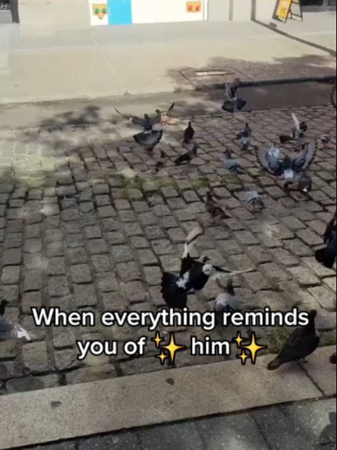@UbisoftANZ