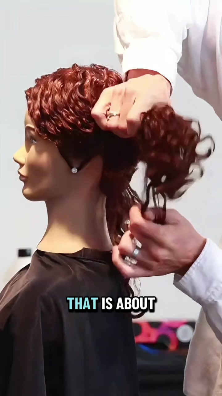 @evanjosephcurls