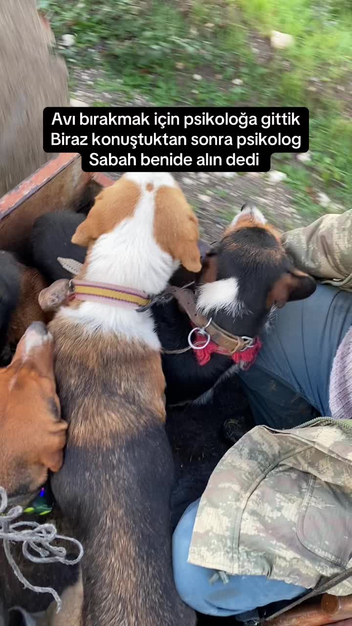 @aydın Orhan