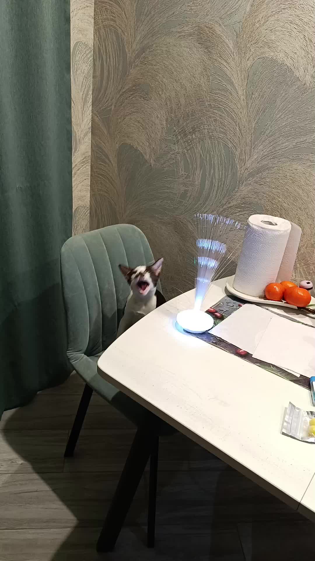 @OlesyaTomskSmile