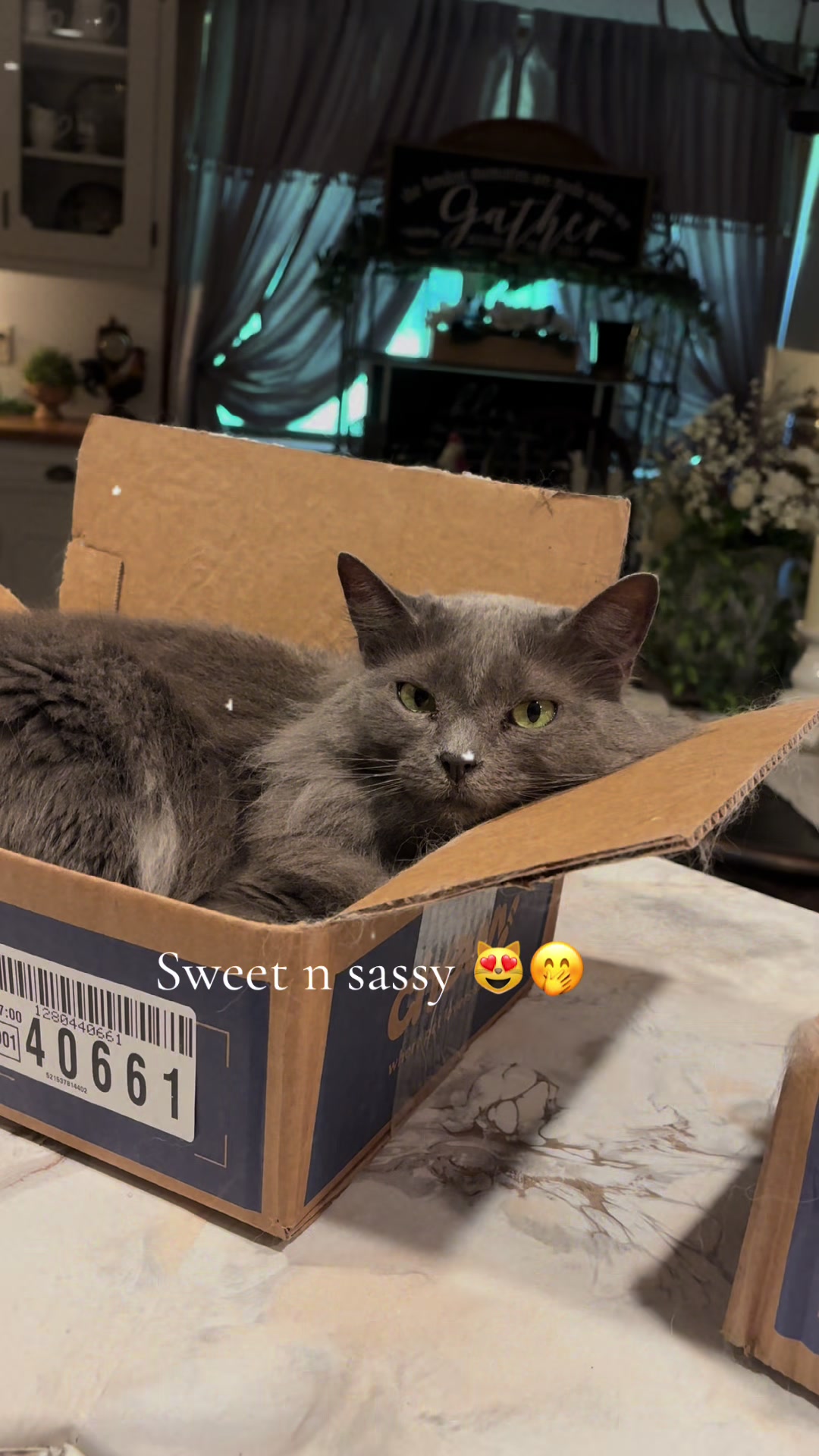 @Melissa’s9Lilfluffs