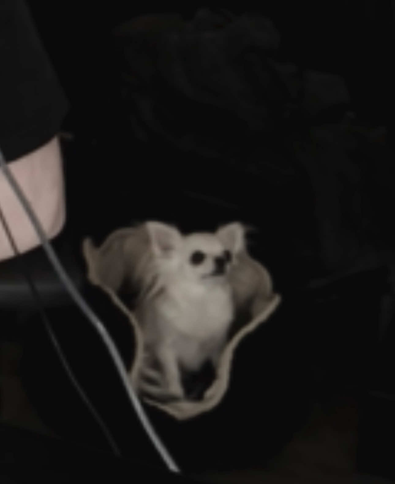 @𝖑𝖎𝖛