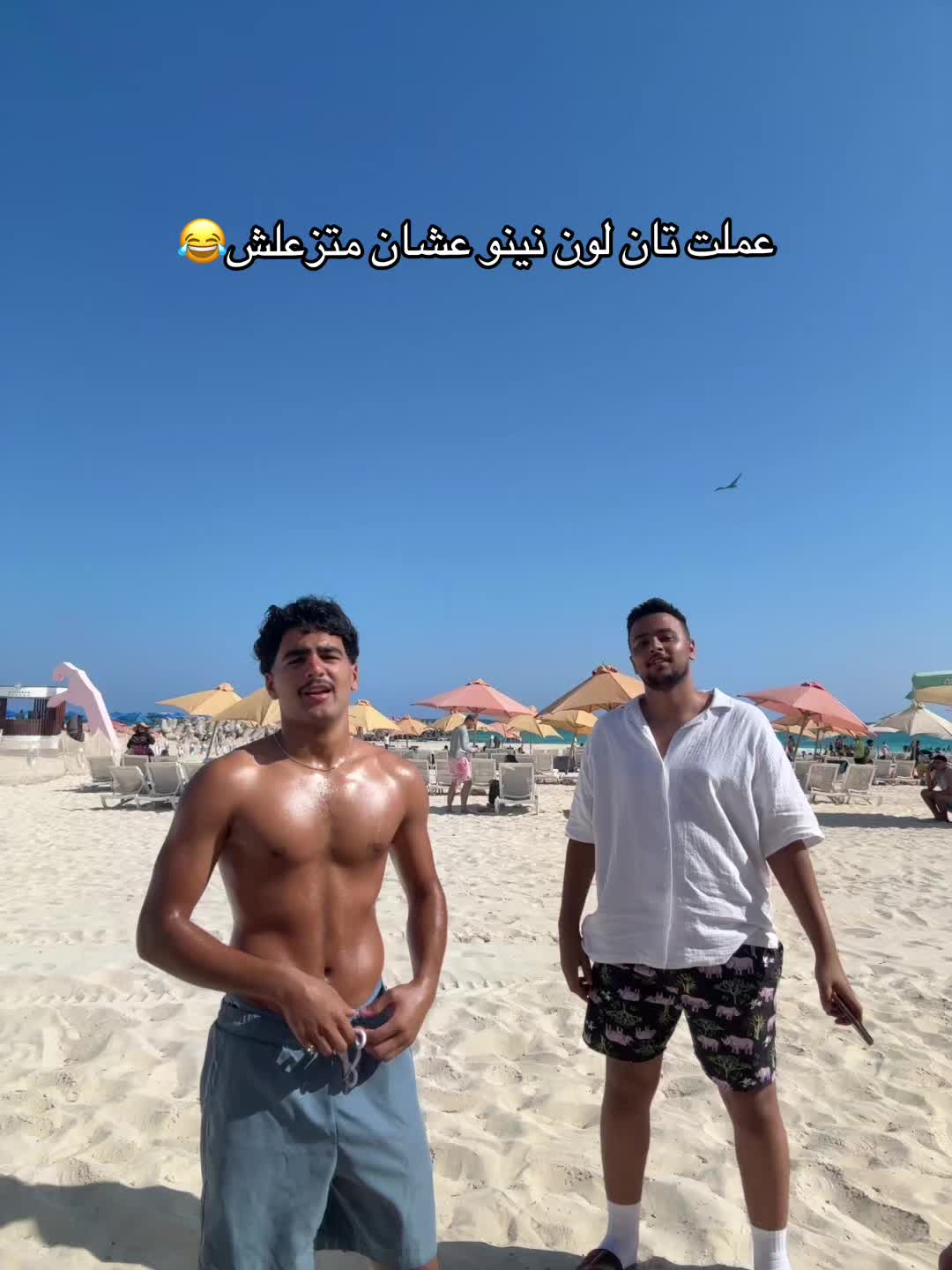 @MIDO AWAD๐ฆ
๐ฆ๐ค๐จ
