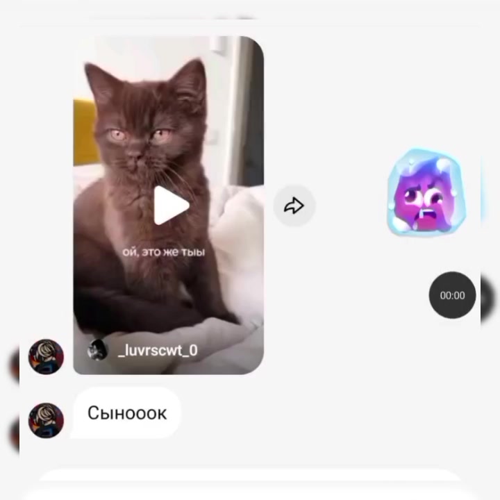 @🕶Очки домера🕶 @