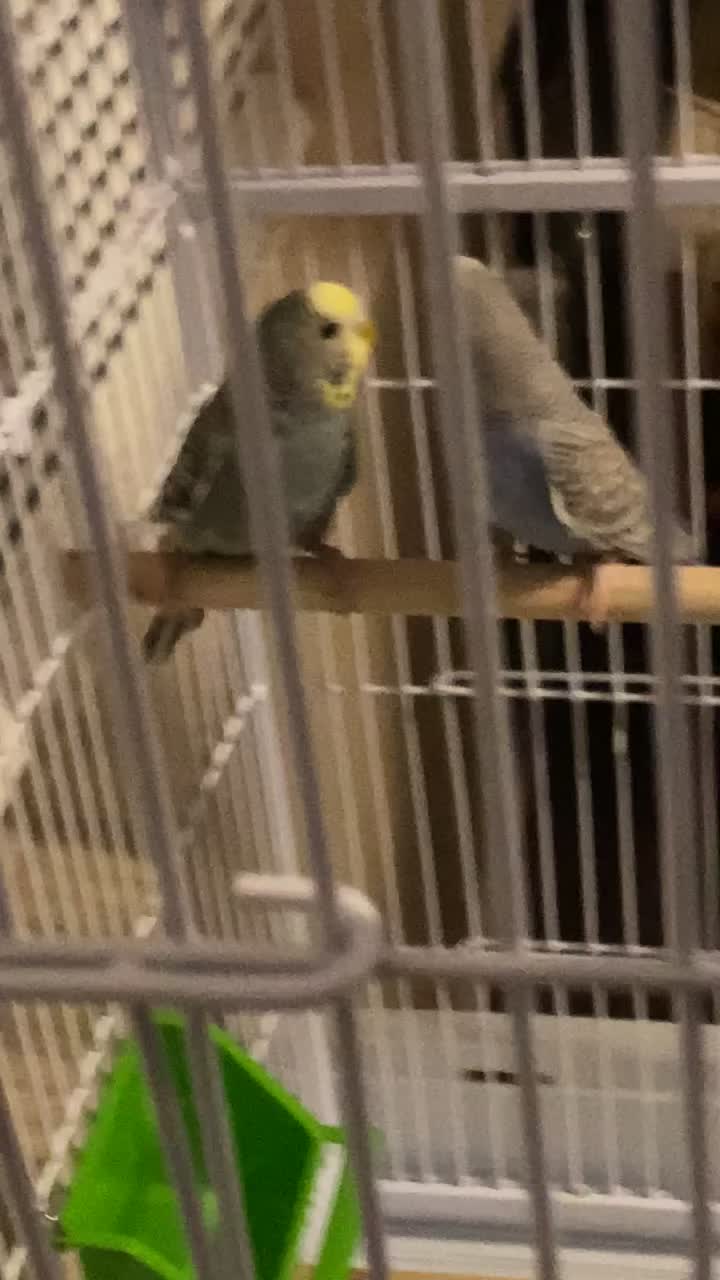 @🤍