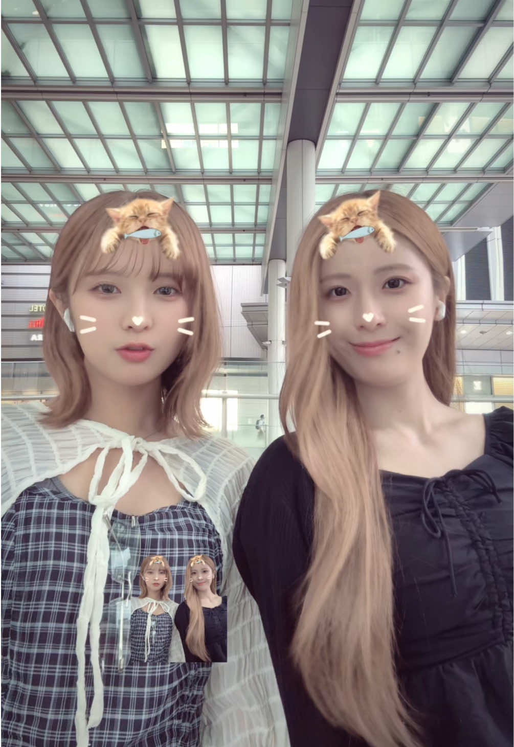 @杏🐰🎀