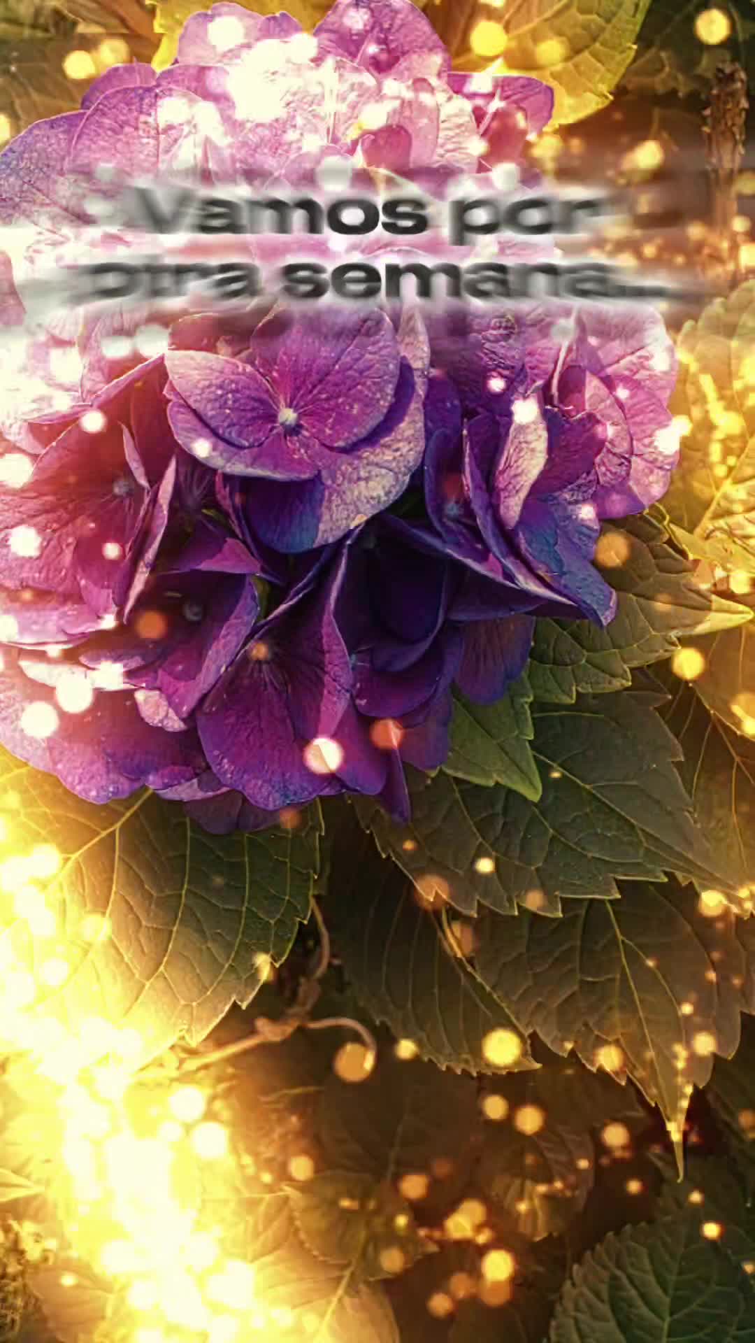 @🦋🦋Suley503🦀🦋