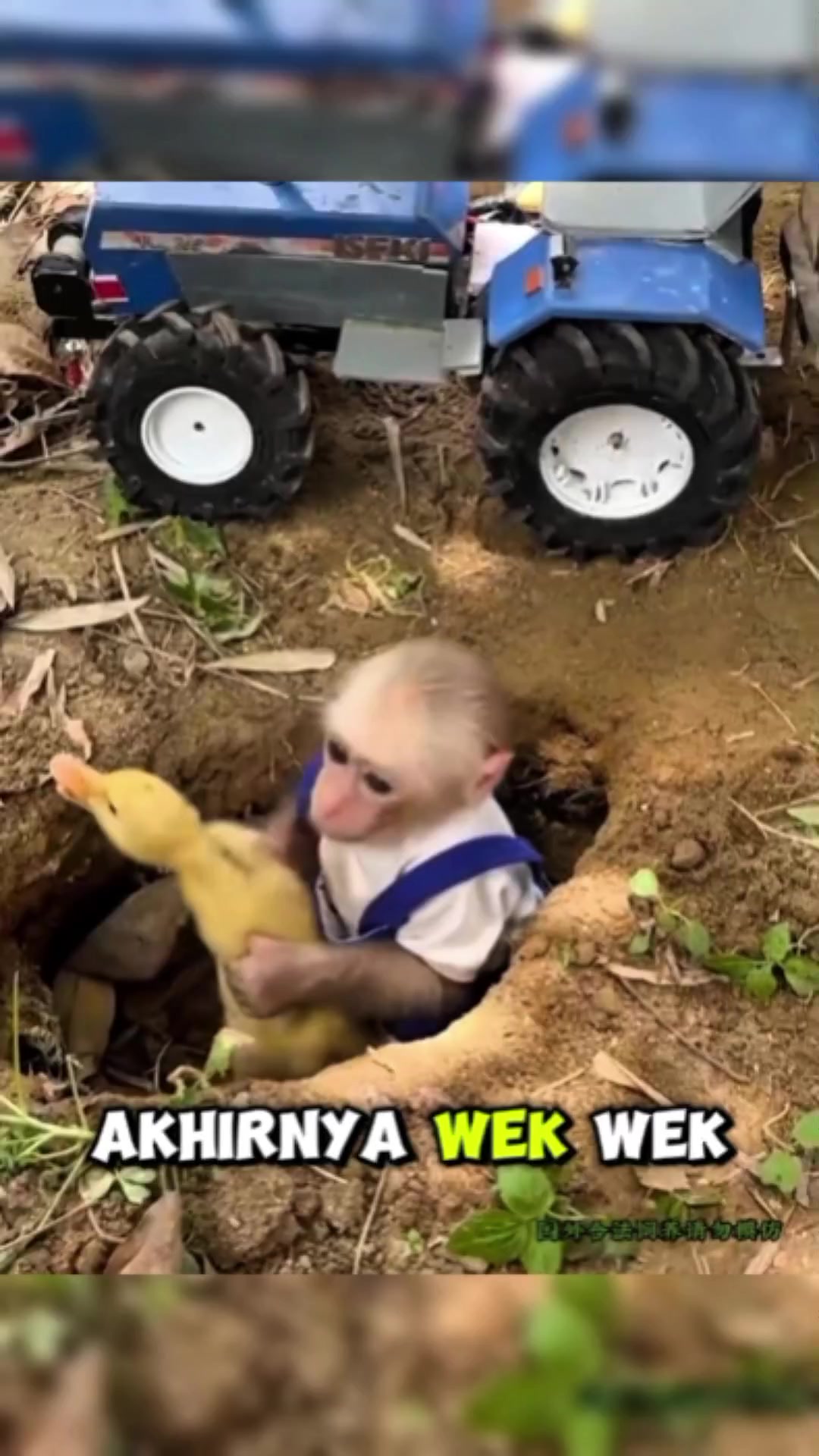 @@waypamungTV