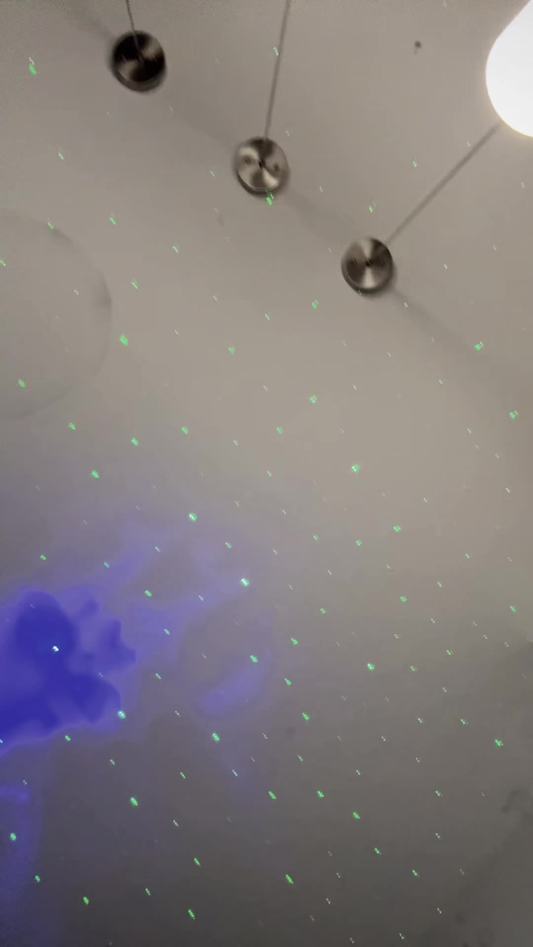 @lizzybee3891