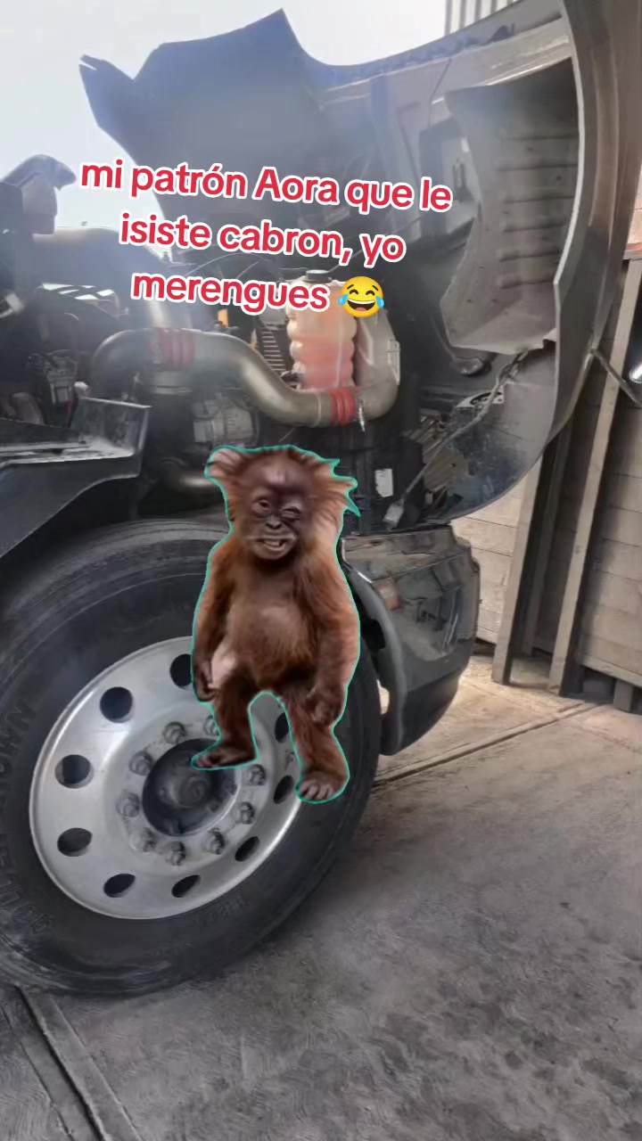 @franco,,,manzano