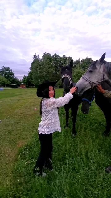 @КК "Фриз"🏇