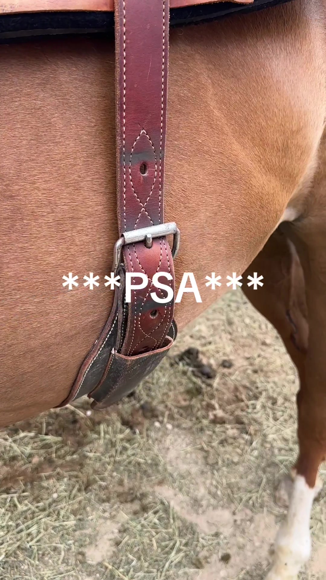 @Grace_elizabethb
