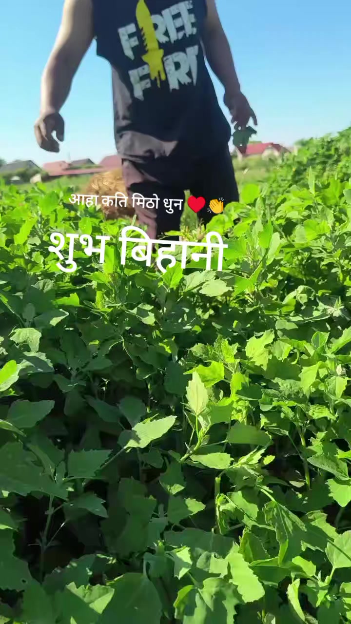 @Mohan123