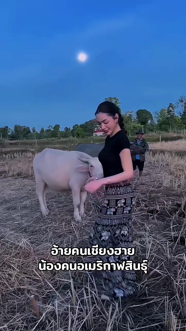 @แล้วแต่นะ