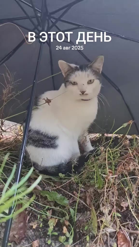 @😛Катюша😛