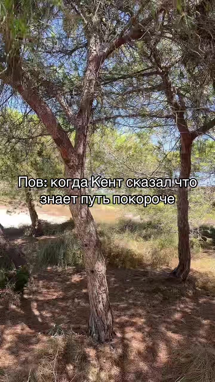 @Серёга