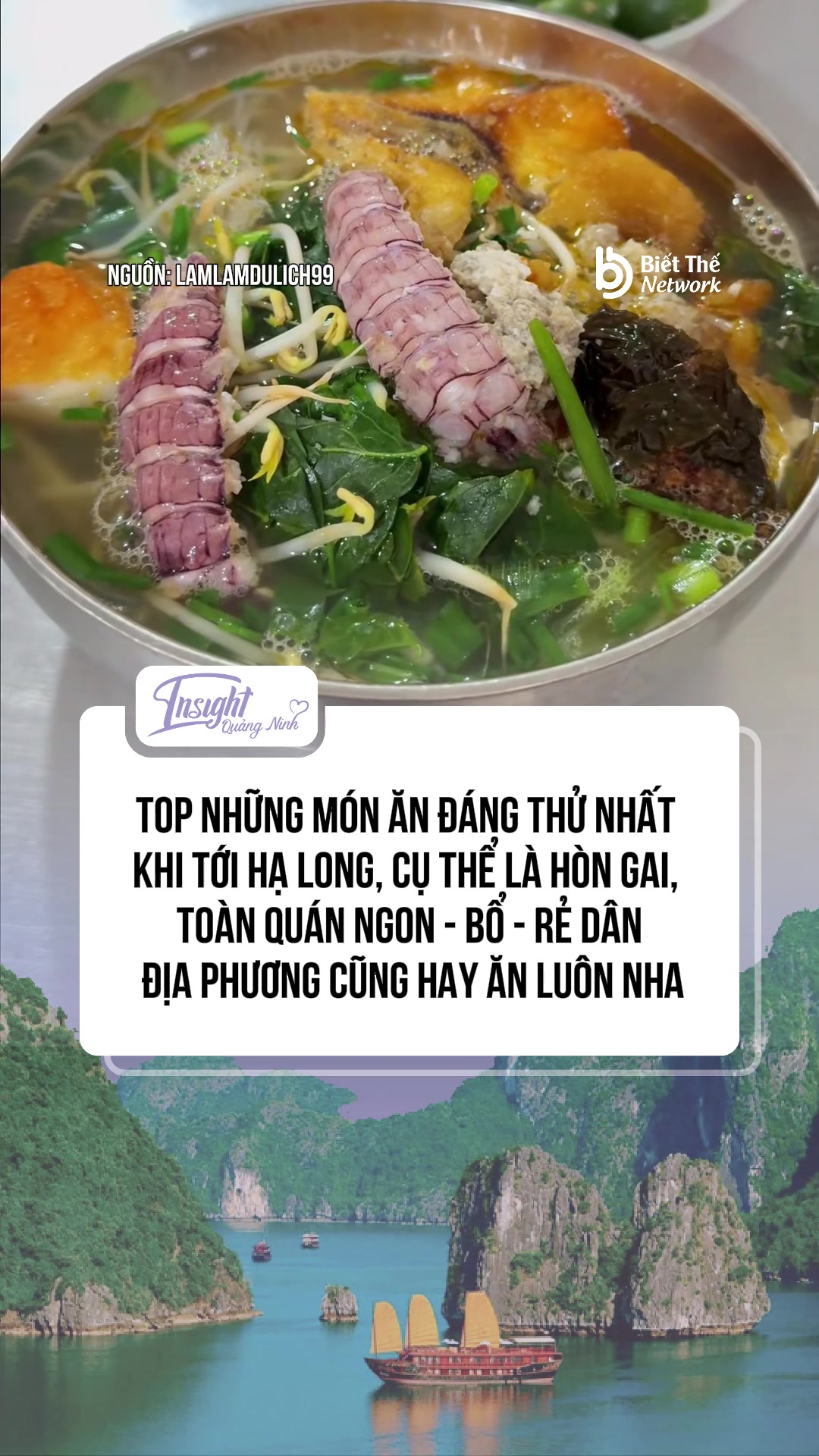 @Insight Quảng Ninh