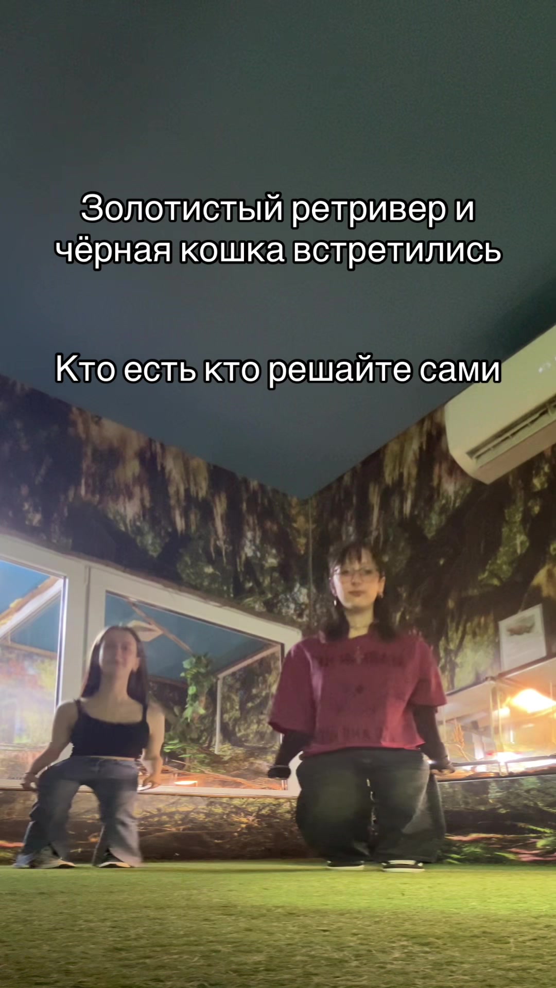 @ТГК Лина Накс