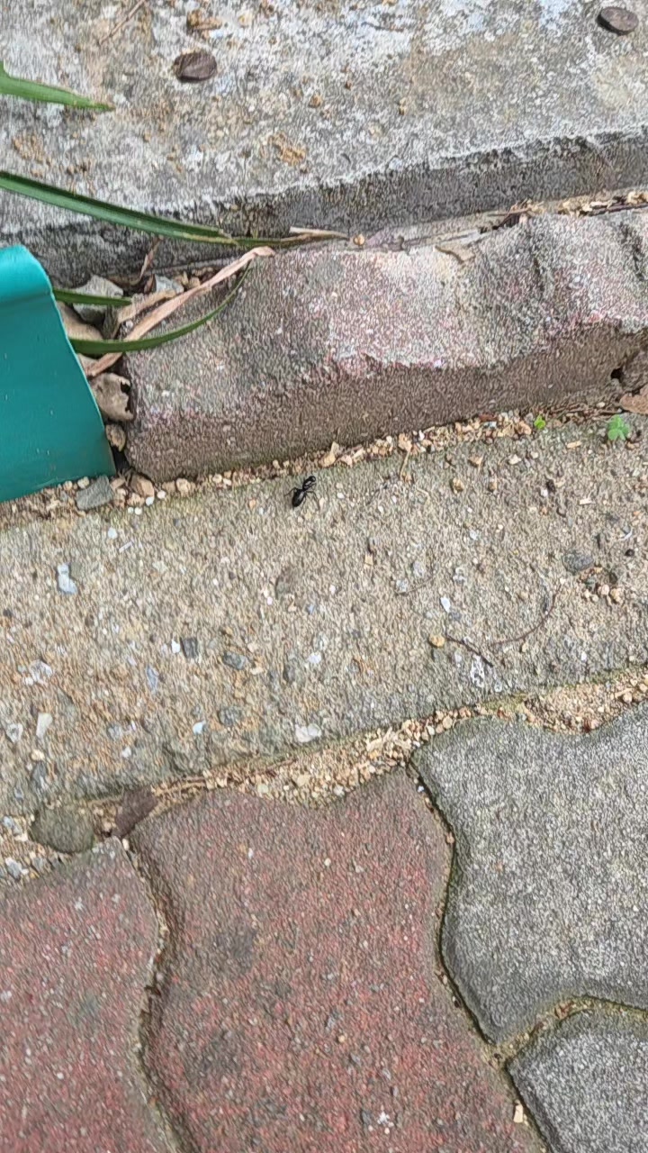 @우쭈쭈쭈본계정1