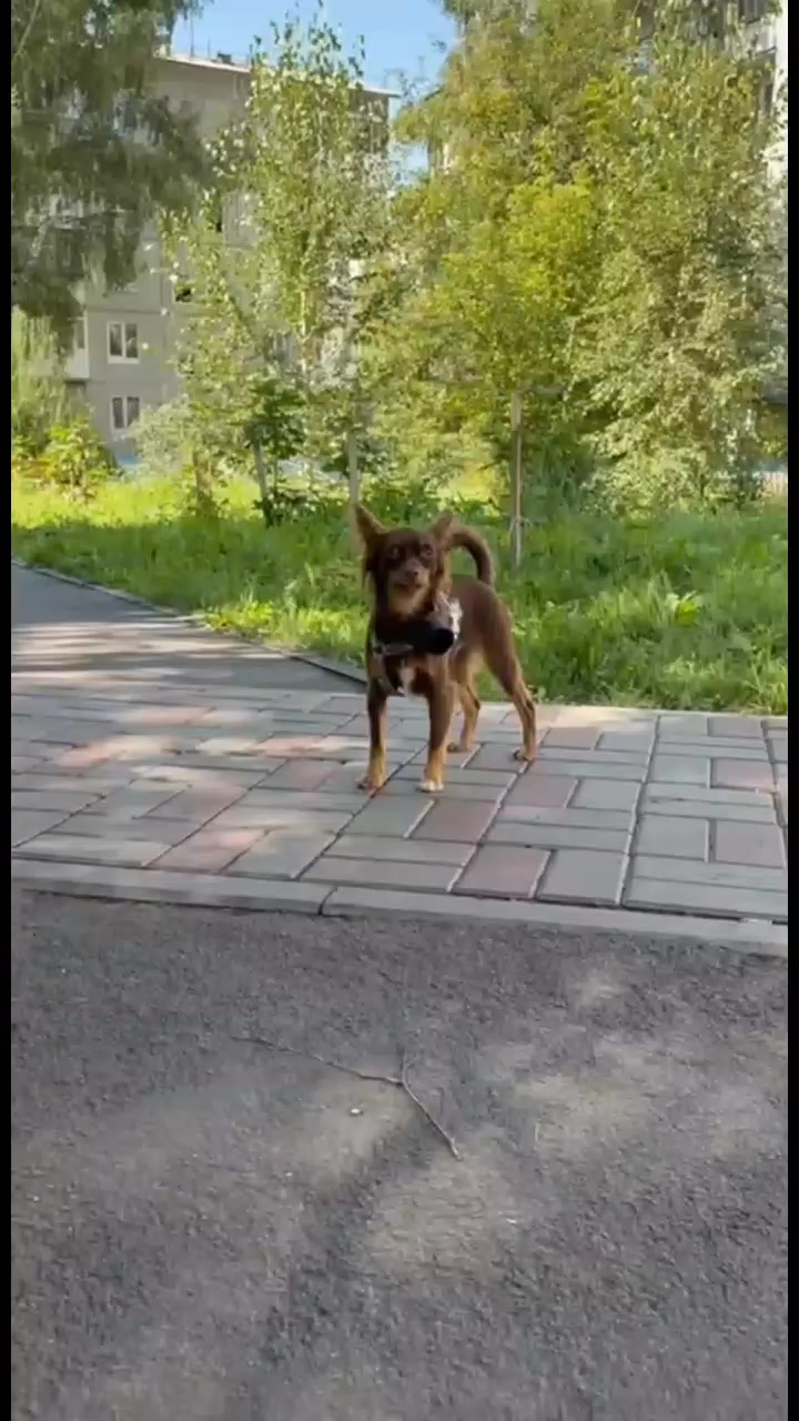 @𝘑𝘦𝘳𝘳𝘺🥏𝘢𝘪𝘳