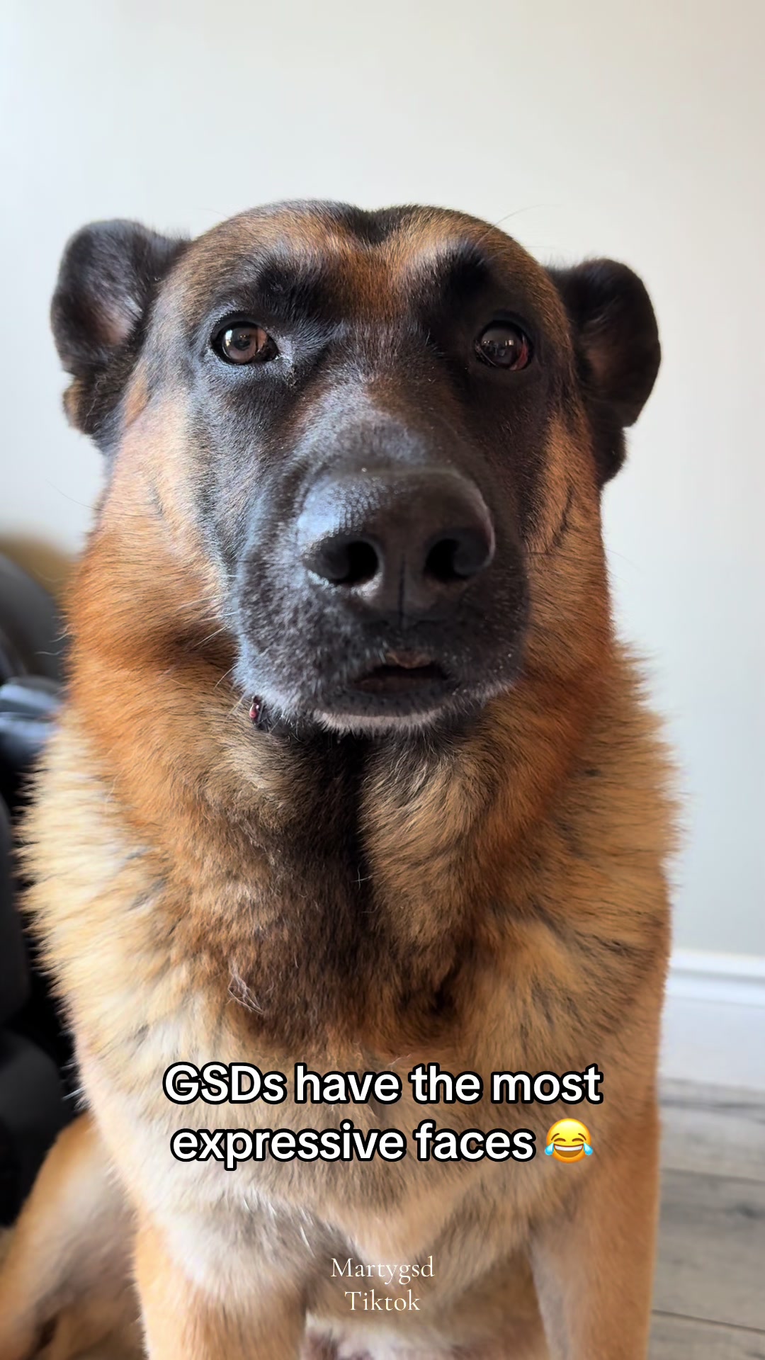 @Martygsd