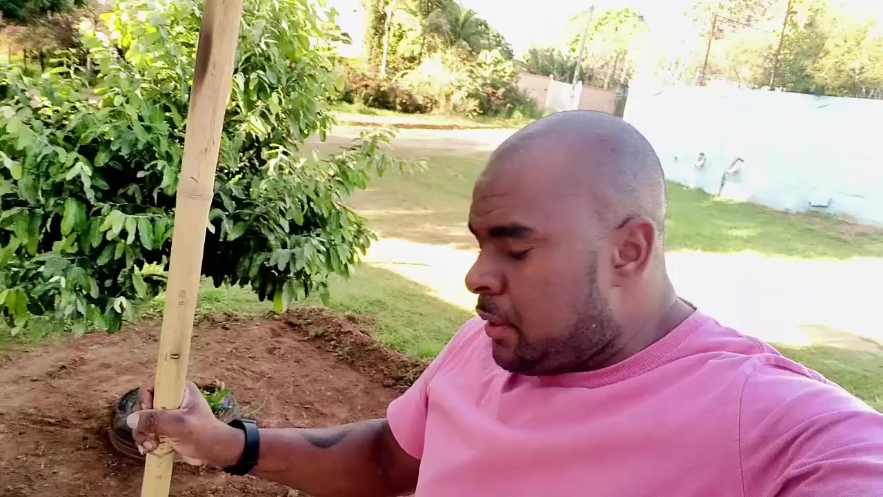 @@vlóg do júlhao oficial
