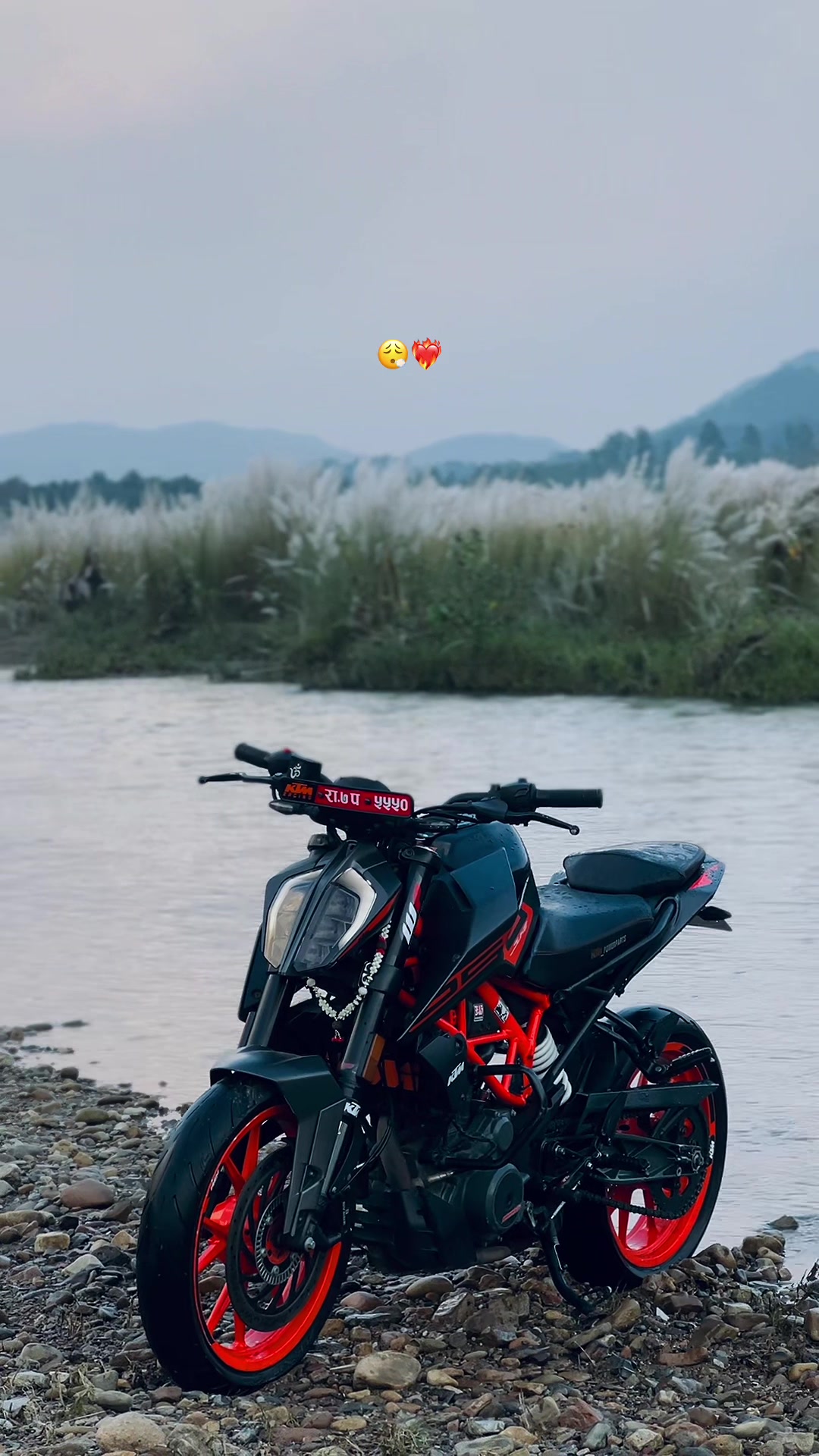 @TORQUE_250 💀