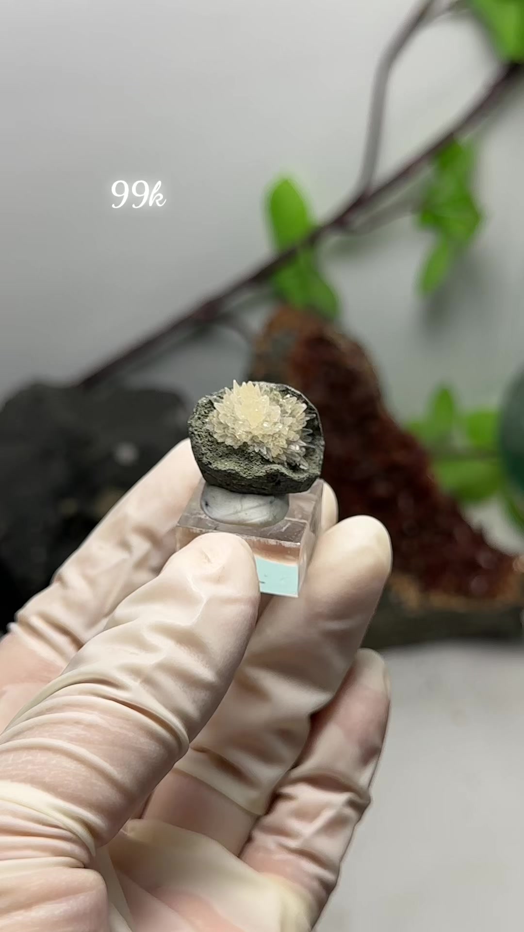 @Th&iacute;ch Đ&aacute; Th&ocirc; Nhưng Thật 🌿