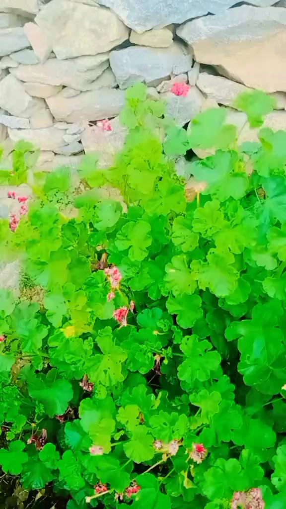 @قیدی نمبر 804✌️💪