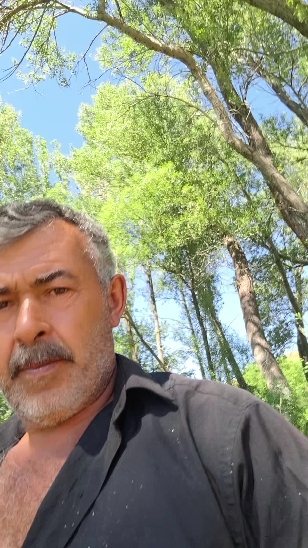 @Vural Demir